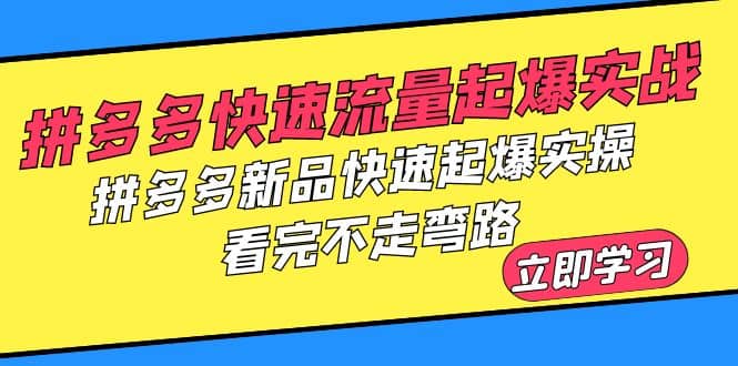 拼多多-快速流量起爆实战，拼多多新品快速起爆实操，看完不走弯路-源创智汇网