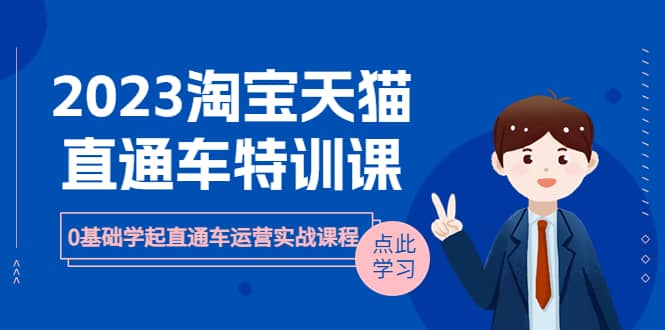 2023淘宝·天猫直通车评特训课，0基础学起直通车运营实战课程（8节课时）-源创智汇网