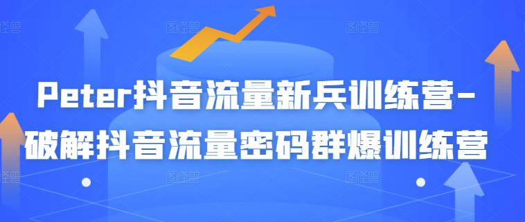 Peter抖音流量新兵训练营-破解抖音流量密码群爆训练营（新兵）-源创智汇网