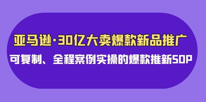 亚马逊30亿·大卖爆款新品推广，可复制、全程案例实操的爆款推新SOP-源创智汇网