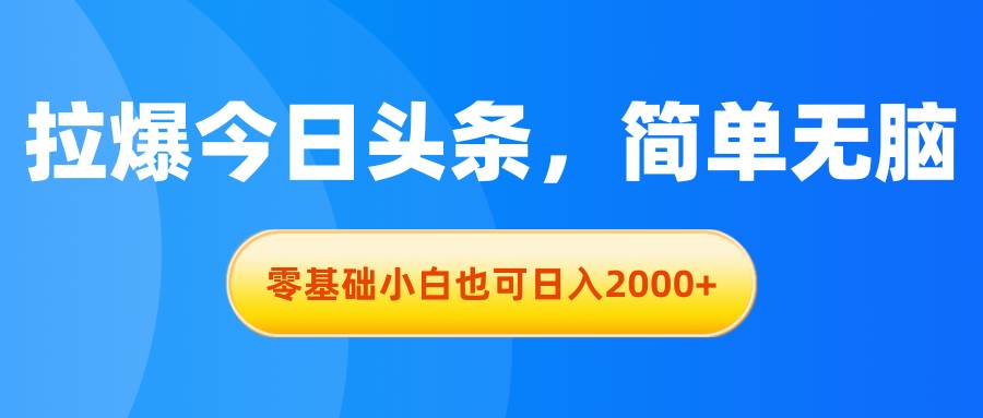 拉爆今日头条，简单无脑，零基础小白也可日入2000+-源创智汇网