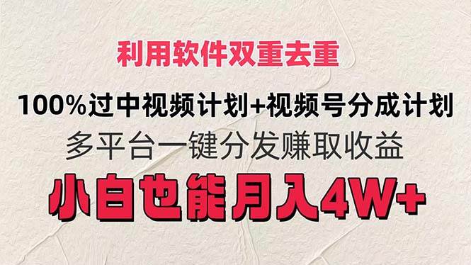 利用软件双重去重，100%过中视频+视频号分成计划小白也可以月入4W+-源创智汇网