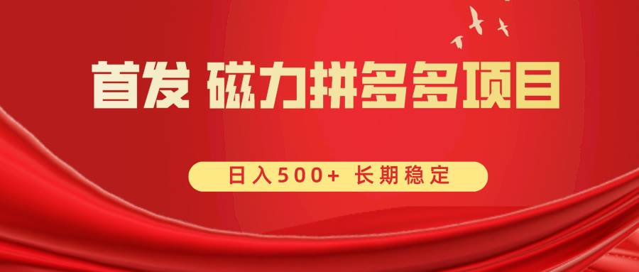 首发 磁力拼多多自撸  日入500+-源创智汇网