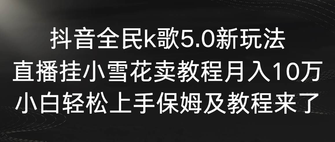抖音全民k歌5.0新玩法，直播挂小雪花卖教程月入10万，小白轻松上手，保…-源创智汇网