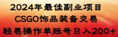 2024年最佳副业项目 CSGO饰品装备交易 轻易操作单账号日入200+-源创智汇网