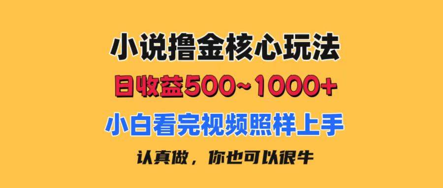 小说撸金核心玩法，日收益500-1000+，小白看完照样上手，0成本有手就行-源创智汇网