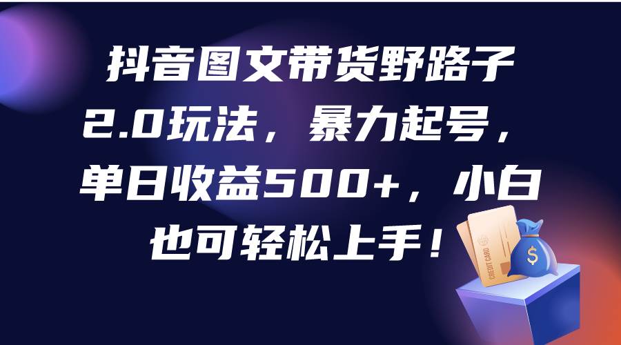 抖音图文带货野路子2.0玩法，暴力起号，单日收益500+，小白也可轻松上手！-源创智汇网