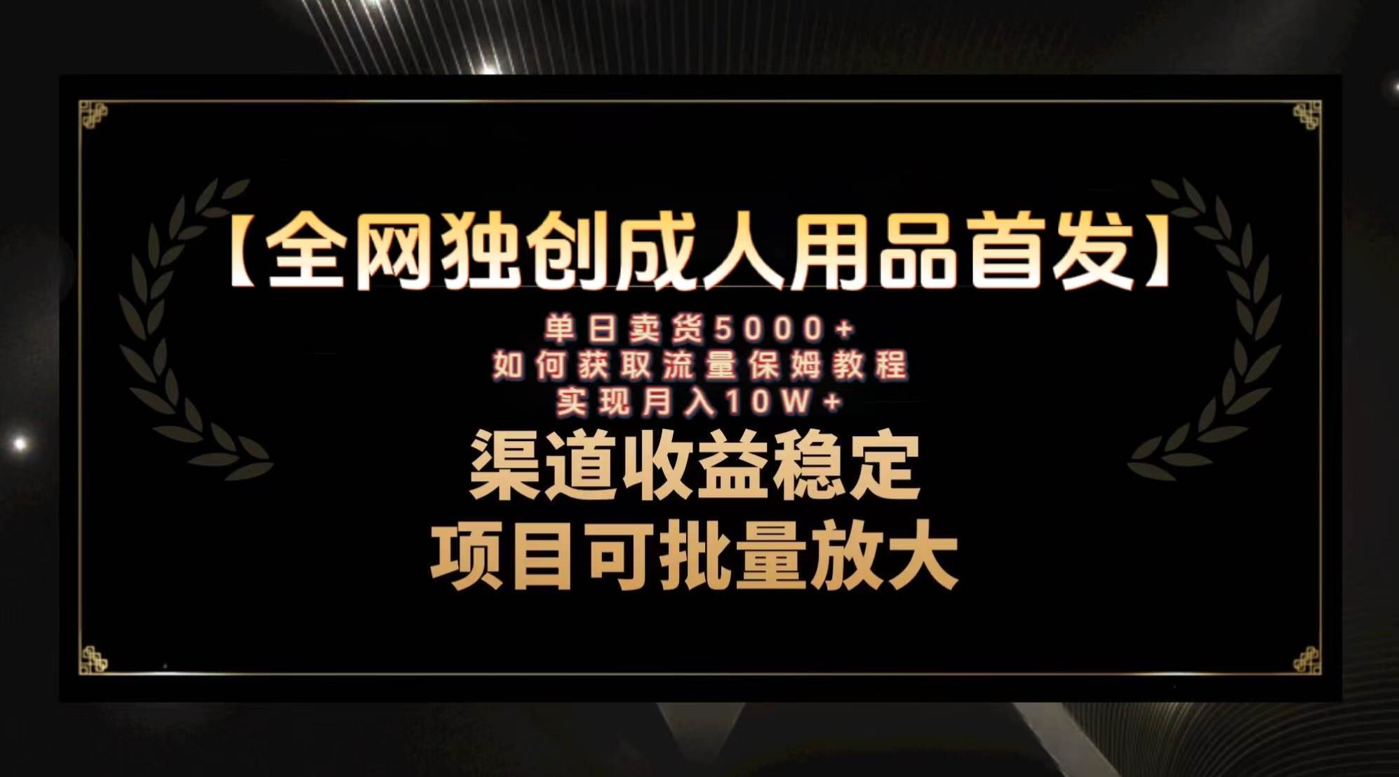 最新全网独创首发，成人用品赛道引流获客，月入10w保姆级教程-源创智汇网
