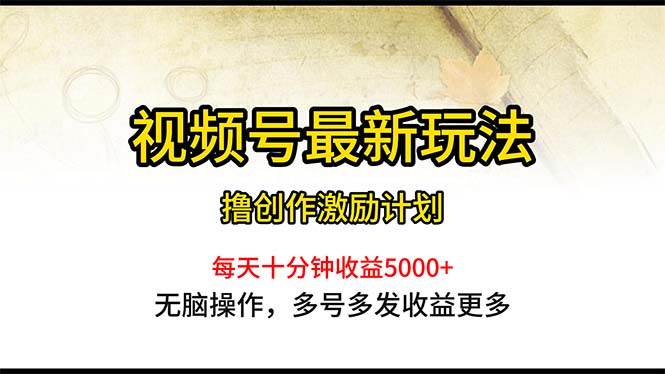 视频号最新玩法，每日一小时月入5000+-源创智汇网
