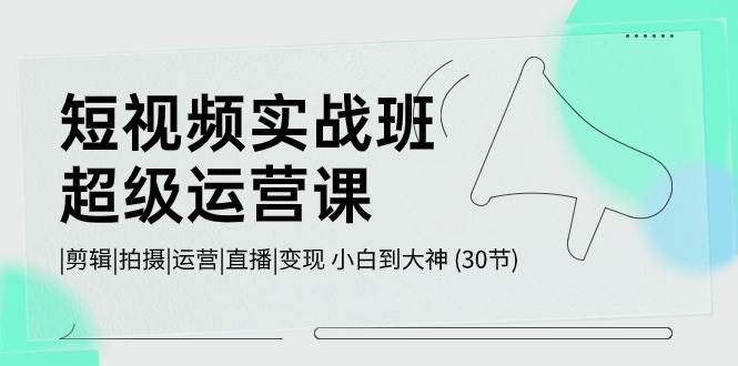 短视频实战班-超级运营课，|剪辑|拍摄|运营|直播|变现 小白到大神 (30节)-源创智汇网