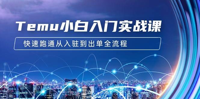 Temu小白入门实战课：跨境拼多多电商培训 快速跑通从入驻到出单全流程-12节-源创智汇网