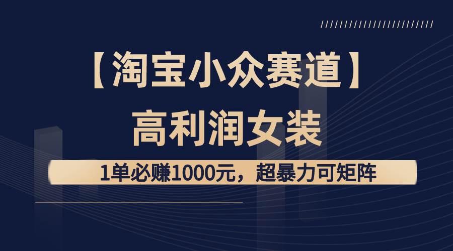 【淘宝小众赛道】高利润女装：1单必赚1000元，超暴力可矩阵-源创智汇网