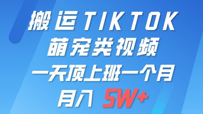 一键搬运TIKTOK萌宠类视频 一部手机即可操作 所有平台均可发布 轻松月入5W+-源创智汇网