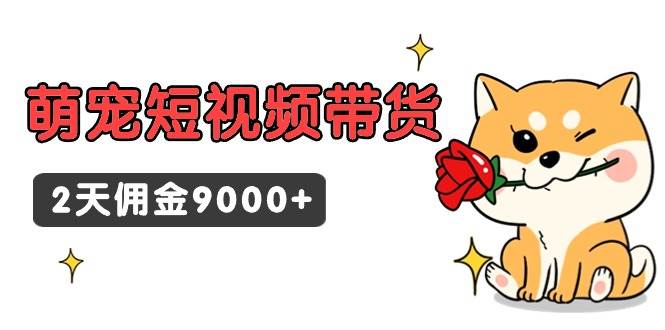东哲日记·萌宠短视频带货，2天佣金9000+-源创智汇网