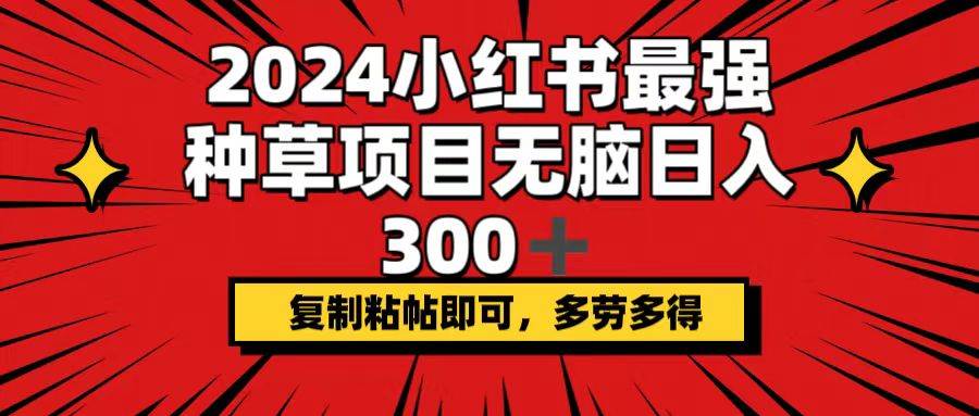 2024小红书最强种草项目，无脑日入300+，复制粘帖即可，多劳多得-源创智汇网