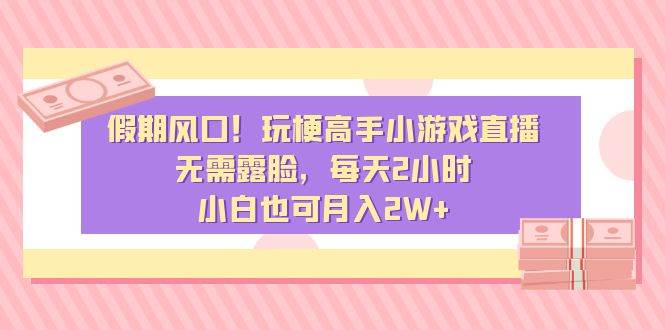 假期风口！玩梗高手小游戏直播，无需露脸，每天2小时，小白也可月入2W+-源创智汇网
