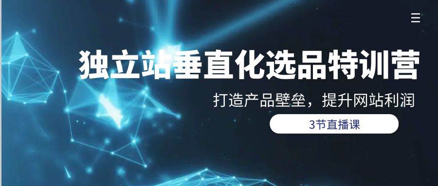 独立站-垂直化选品训练营，打造产品壁垒，提升网站利润（3节直播课）-源创智汇网