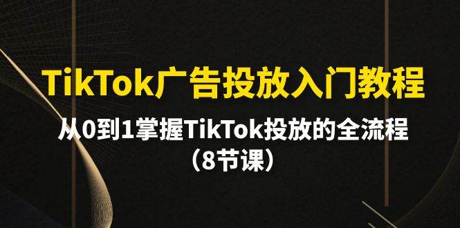 TikTok广告投放入门教程，从0到1掌握TikTok投放的全流程（8节课）-源创智汇网
