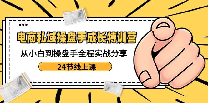 电商私域-操盘手成长特训营：从小白到操盘手全程实战分享-24节线上课-源创智汇网