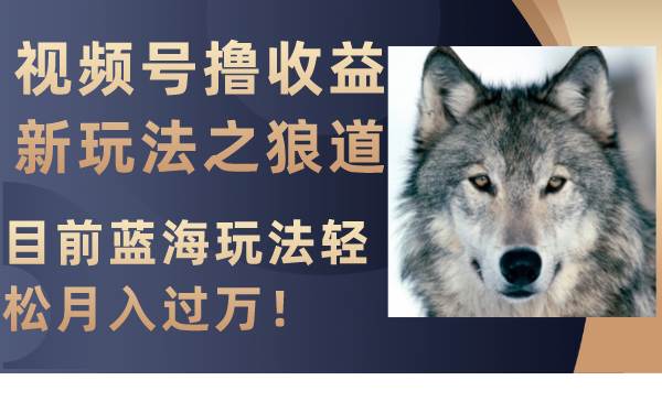 视频号撸收益新玩法之狼道，目前蓝海玩法轻松月入过万！-源创智汇网