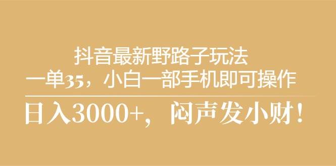 抖音最新野路子玩法，一单35，小白一部手机即可操作，，日入3000+，闷…-源创智汇网