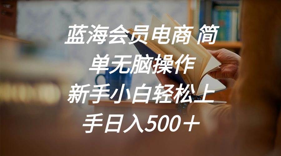 蓝海会员电商 简单无脑操作 新手小白轻松上手日入500＋-源创智汇网