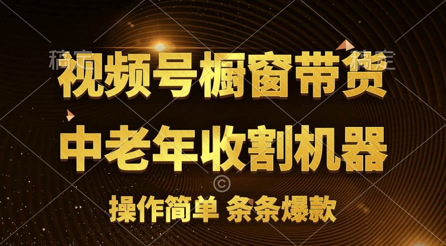 [你的孩子成功取得高位]视频号最火爆赛道，橱窗带货，流量分成计划，条…-源创智汇网