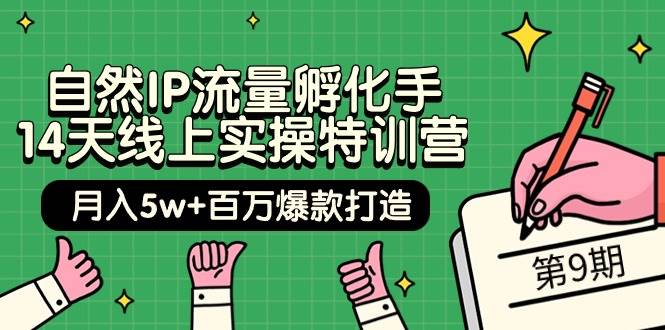 自然IP流量孵化手 14天线上实操特训营【第9期】月入5w+百万爆款打造 (74节)-源创智汇网