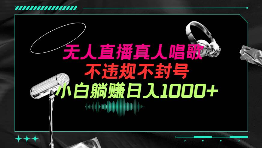 抖音24小时无人直播音乐，不违规，不封号纯撸音浪，小白实操当天日入1000+-源创智汇网