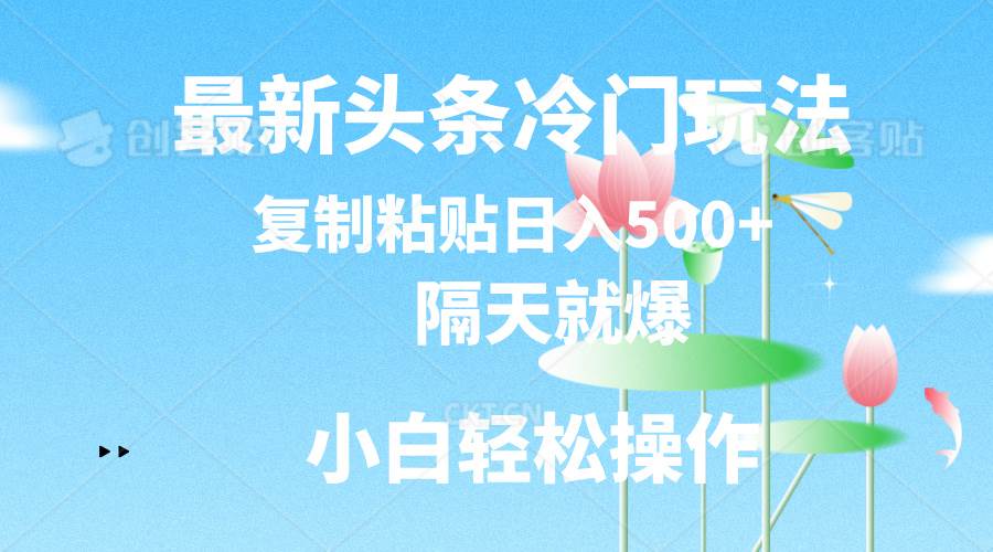 最新头条冷门玩法，隔天就爆，复制粘贴日入500+-源创智汇网