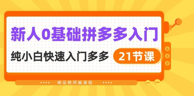 新人0基础拼多多入门，纯小白快速入门多多（21节课）-源创智汇网