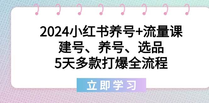 2024小红书养号+流量课：建号、养号、选品，5天多款打爆全流程-源创智汇网