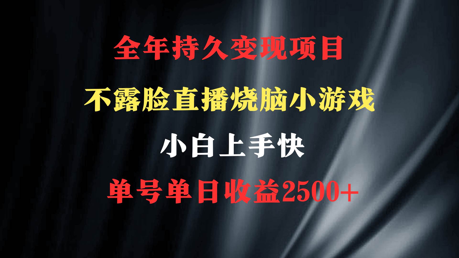 2024年 最优项目，烧脑小游戏不露脸直播  小白上手快 无门槛 一天收益2500+-源创智汇网