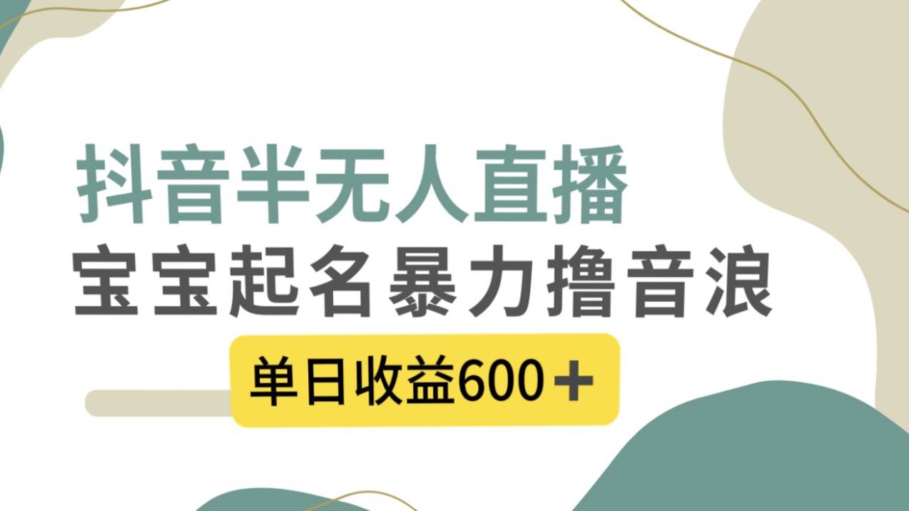 抖音半无人直播，宝宝起名，暴力撸音浪，单日收益600+-源创智汇网