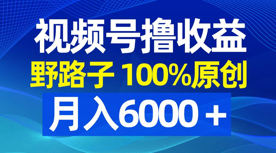 视频号野路子撸收益，100%原创，条条爆款，月入6000＋-源创智汇网