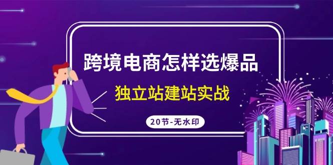 跨境电商怎样选爆品，独立站建站实战（20节高清无水印课）-源创智汇网