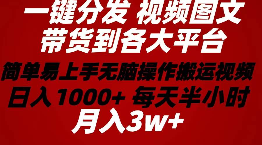 2024年 一键分发带货图文视频  简单易上手 无脑赚收益 每天半小时日入1…-源创智汇网