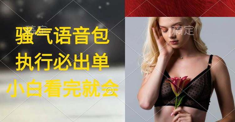 执行就出单，日入2000+，超火骚气语音包，小白看完课程就能马上实操-源创智汇网