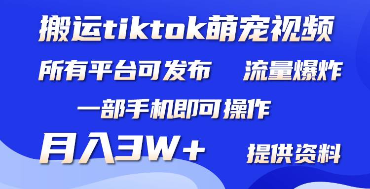 搬运Tiktok萌宠类视频，一部手机即可。所有短视频平台均可操作，月入3W+-源创智汇网
