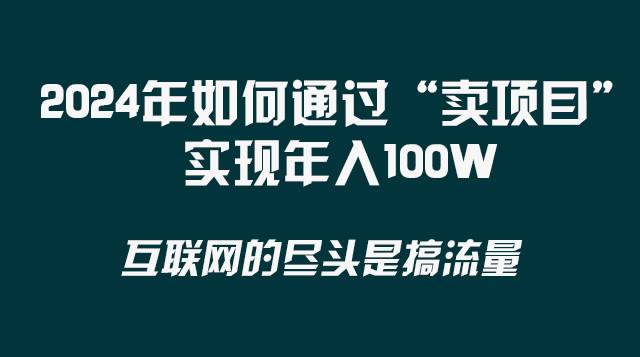2024年如何通过“卖项目”实现年入100W-源创智汇网