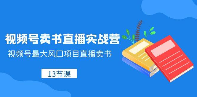 视频号-卖书直播实战营，视频号最大风囗项目直播卖书（13节课）-源创智汇网