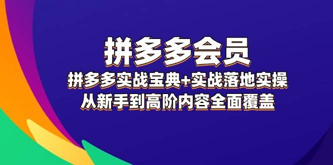 拼多多 会员，拼多多实战宝典+实战落地实操，从新手到高阶内容全面覆盖-源创智汇网