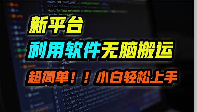新平台用软件无脑搬运，月赚10000+，小白也能轻松上手-源创智汇网