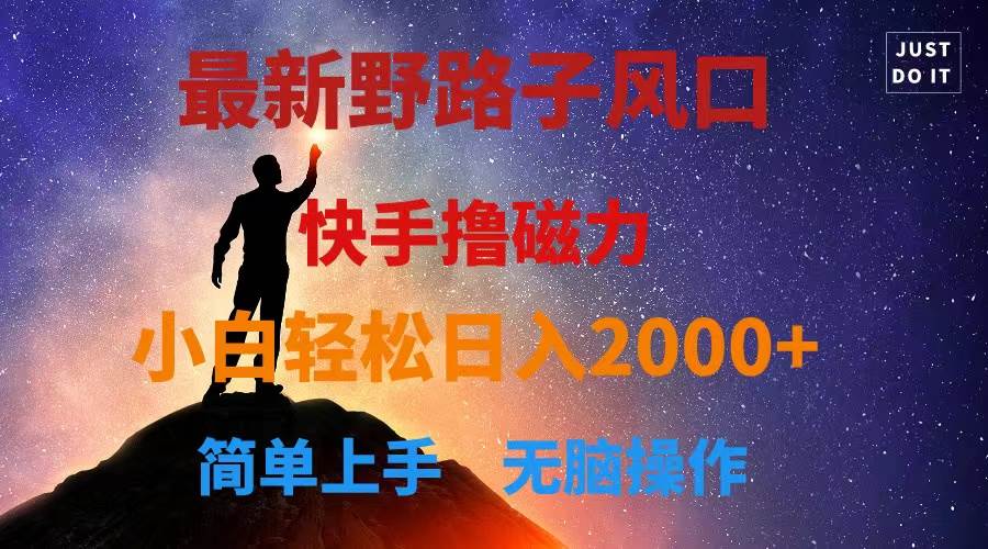 最新风口！快手撸磁力，野路子，小白无脑操作日入2000+-源创智汇网