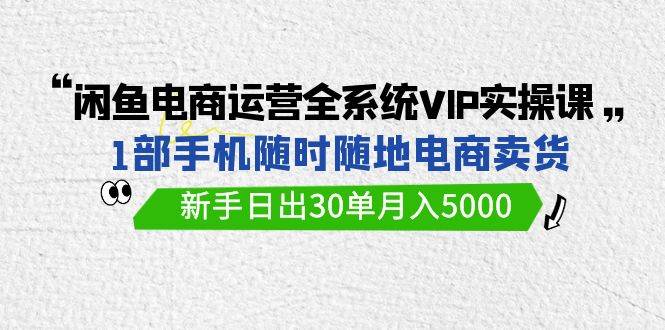 闲鱼电商运营全系统VIP实战课，1部手机随时随地卖货，新手日出30单月入5000-源创智汇网