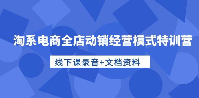 淘系电商全店动销经营模式特训营，线下课录音+文档资料-源创智汇网
