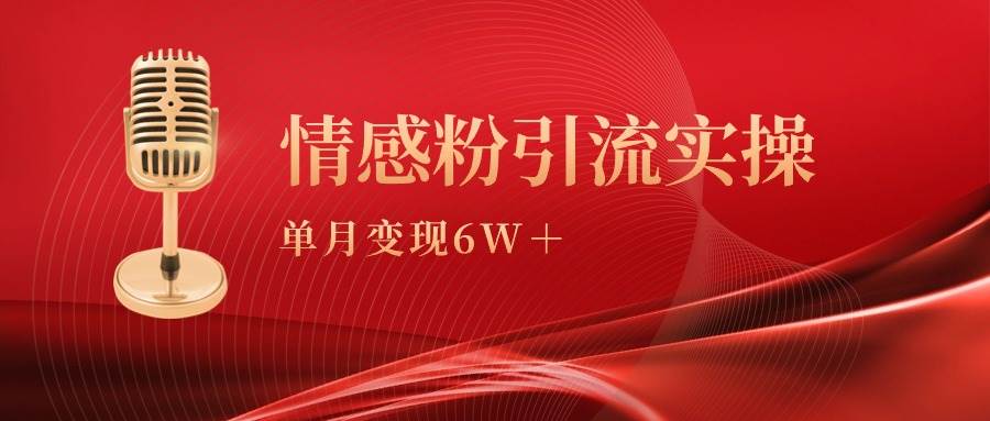 单月变现6w+，情感粉引流变现实操课-源创智汇网