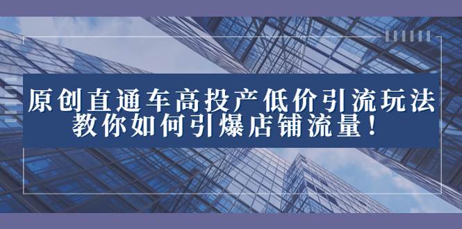 2023直通车高投产低价引流玩法，教你如何引爆店铺流量！-源创智汇网