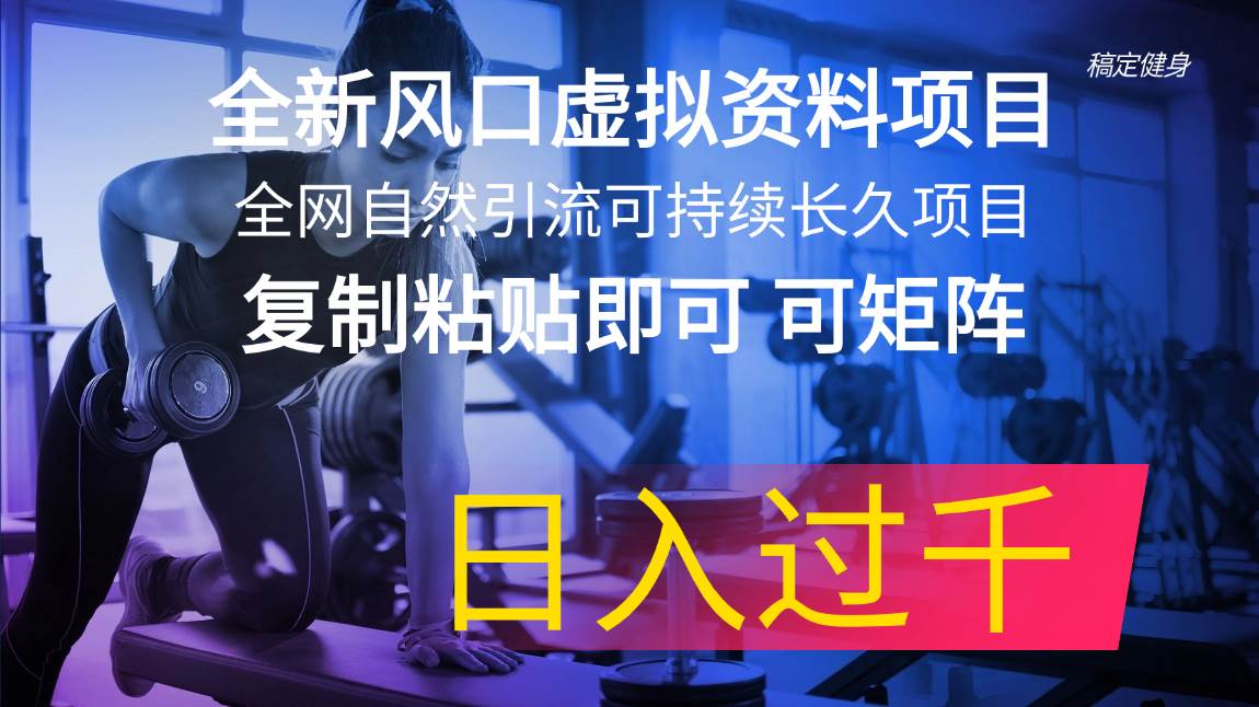 全新风口虚拟资料项目 全网自然引流可持续长久项目 复制粘贴即可可矩阵…-源创智汇网