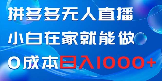 拼多多无人直播，小白在家就能做，0成本日入1000+-源创智汇网